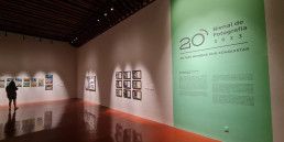 XX bienal de fotografía de México, Podcast pensar la imagen, Marcel del Castillo, arte contemporáneo, fotografía mexicana