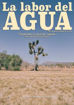 La labor del agua, Marcel del Castillo, Galeana, Nuevo León,. Artista mexicano, artista venezolano, arte contemporáneo