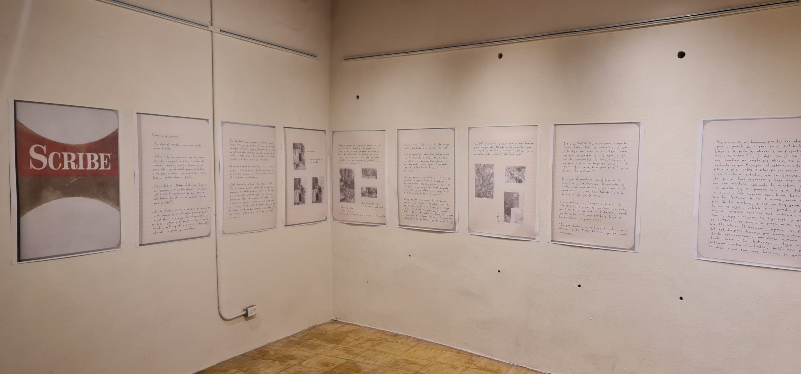 ¿Quien le teme a la mujer Gorila? de Yolanda Leal, Curaduría de Marcel del Castillo, Museo Muniva en Tlaxcala