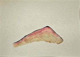 Artista Mexicano, Artista Venezolano, Artista de Monterrey, La sed de las serpientes, marcel del castillo, arte contempor&aacute;neo