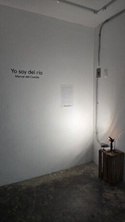 Artista Mexicano, Artista Venezolano, Artista de Monterrey, La sed de las serpientes, marcel del castillo, arte contemporáneo
