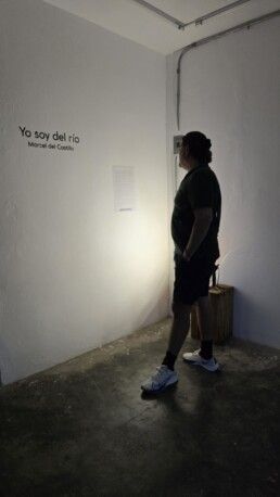 Artista Mexicano, Artista Venezolano, Artista de Monterrey, La sed de las serpientes, marcel del castillo, arte contemporáneo