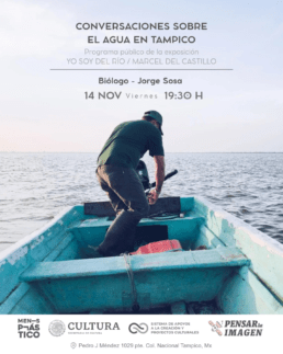 Artista Mexicano, Artista Venezolano, Artista de Monterrey, La sed de las serpientes, marcel del castillo, arte contemporáneo