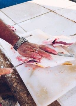 Artista Mexicano, Artista Venezolano, Artista de Monterrey, La sed de las serpientes, marcel del castillo, arte contemporáneo