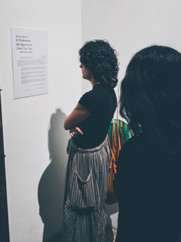 Artista Mexicano, Artista Venezolano, Artista de Monterrey, marcel del castillo, arte contemporáneo