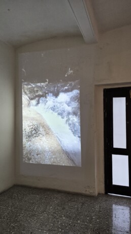 Artista Mexicano, Artista Venezolano, Artista de Monterrey, marcel del castillo, arte contemporáneo