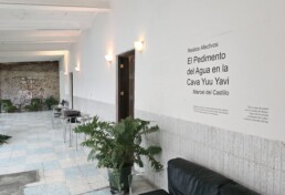 Artista Mexicano, Artista Venezolano, Artista de Monterrey, marcel del castillo, arte contemporáneo